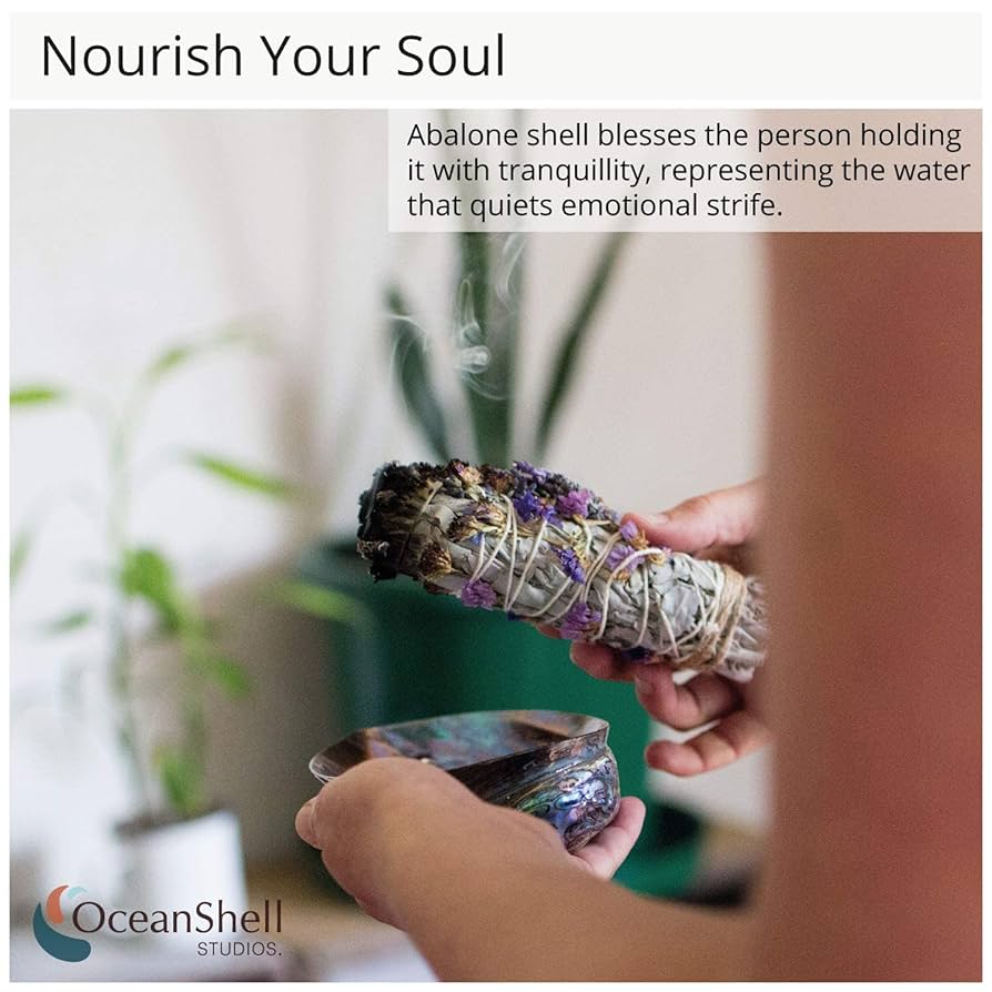 Amazon.co.jp: アバロンシェル 両面磨き 貝殻 瞑想 セージ受け皿